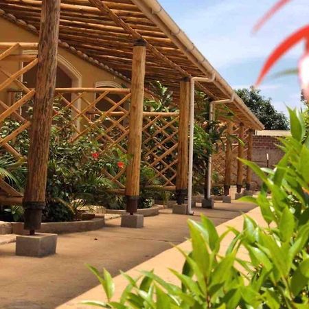 African Roots Guesthouse 恩德培 外观 照片