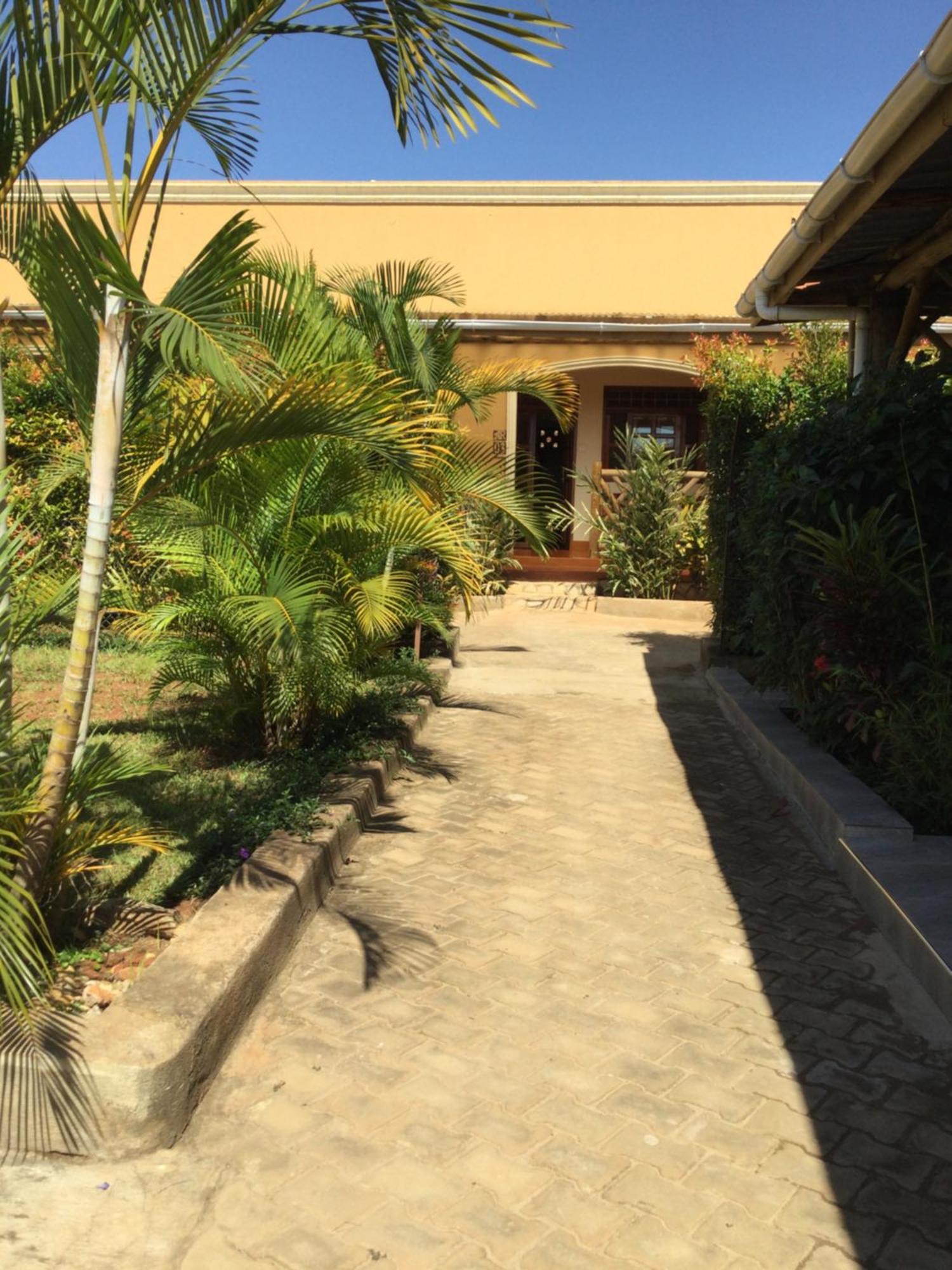 African Roots Guesthouse 恩德培 外观 照片