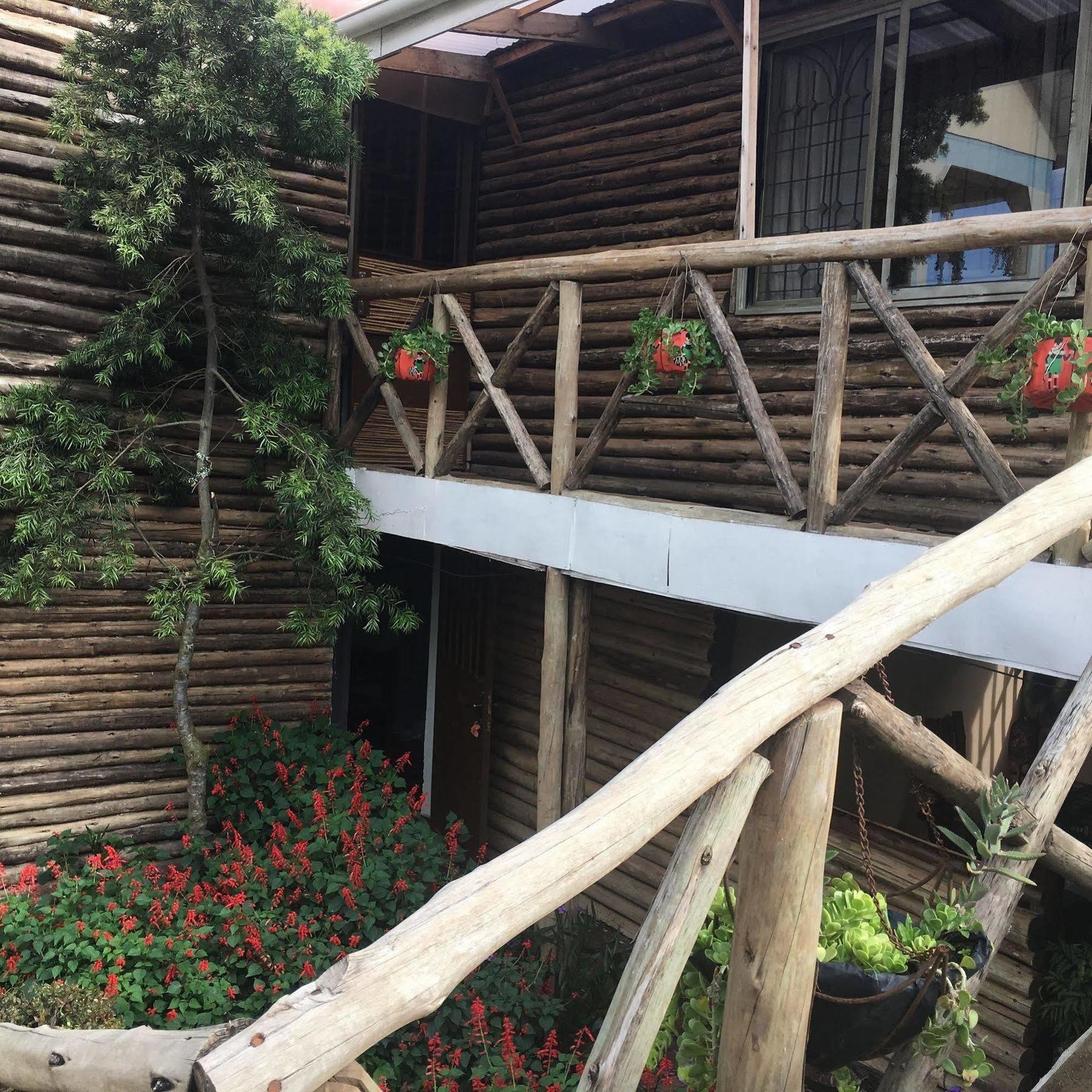 African Roots Guesthouse 恩德培 外观 照片
